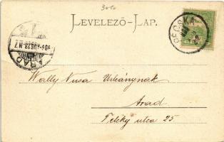 1906 Pécska, Pecica; Szent János tér, Holzeisen József üzlete és saját kiadása / square, shop (fa)