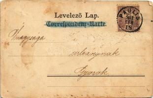 1901 Ópálos, Ó-Pálos, Ópaulis, Paulis (Arad-Hegyalja); Margit villa, Magda lak, Daniel villa, Fő utc...