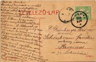 1908 Pankota, Pancota; Csiky Gergely út, üzlet, piaci árusok. W.L. Bp. 5423. / street, shops, market...