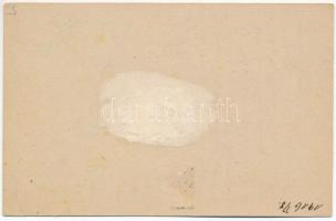 1916 Ópálos, Ó-Pálos, Ópaulis, Paulis (Arad-Hegyalja); Kosztolányi András szőlő birtokos, nagybani o...