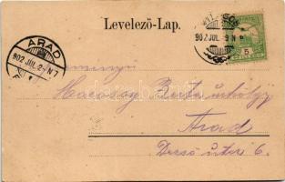 1902 Világos, Siria; 1190. évi Világos-völgyi apátság-templom romjai, Fő utca és üzlethelyiség, Bohu...