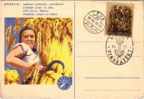 Draslo. Fertil-Kali mezőgazdasági kálium használata, propaganda lap / Fertil-Kali potassium agricultural propaganda card + "1938 Léva visszatért" So. Stpl. (EB)