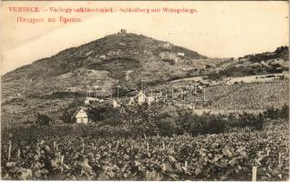 Versec, Vrsac; Várhegy szőlőkertekkel / castle hill, vineyards, villa (fa)