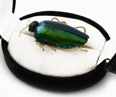 Szentjánosbogár bross, aranyozott szerelékkel, díszdobozban, h: 4,5 cm