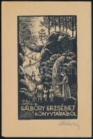 Radványi Román Károly (1900-1957): Gálbory Erzsébet könyvtárából. Fametszet, papír, jelzett, 12x7 cm