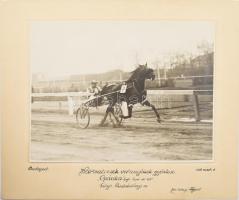 1932 Bp., Háromévesek versenyének győztese "Opánka", fogathajtó verseny, kartonra kasírozott fotó, a hátoldalon pecséttel jelzett ("Faragó" fényképészeti műterem, Újpest), 23x17,5 cm