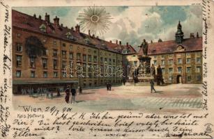 Vienna Hofburg Imperial Palace litho (fl)