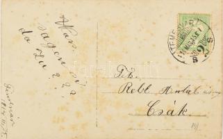 1914 Temesvár, korai kommunista hölgy, agitációs feliratokkal: (le a vagyonos osztállyal, stb) Futot...