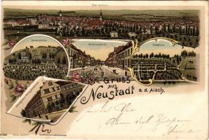 Neustadt an der Aisch, Total-Ansicht, Sommerkeller, Wilhelmstrasse, Stadtpark, Königliches Progymnasium. Art Nouveau, floral, litho (cut)