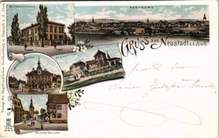 Neustadt an der Aisch, Kgl. Präparandenschule, Panorama, Marktplatz am Rathaus, Alt & neues Schloss, Nürnberger Tor u. Erker. Art Nouveau, floral, litho (EK)