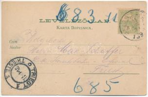 1904 Daruvár, Bad Daruvar; Kurpark, Ruine Biela, Kloster Pakra / spa, park, ruins, monastery, railwa...