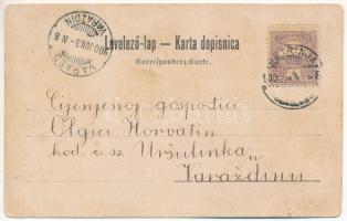 1900 Petrinya, Petrinja; Fő utca, M. Skrilec üzlete / street view, shop of M. Skrilec. Art Nouveau, ...