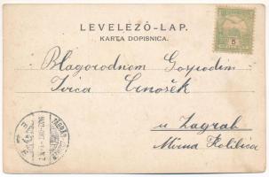 1902 Goszpics, Gospic; utca télen, lovasszán / street view, in winter, horse sleigh (lyuk / pinhole)