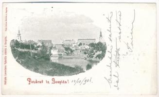 1901 Goszpics, Gospic; látkép / general view (vágott / cut)