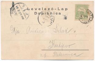 1903 Hrvatska Kostajnica, Kostajnice; utca, templom, híd / street view, church, bridge. Floral (kis ...