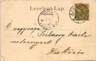 1904 Crikvenica, Cirkvenica; part, strand / beach, seashore (szakadás / tear)