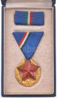 1951. "Közbiztonsági Érem arany fokozata a rendőrség tagjai részére" aranyozott bronz kitüntetés mellszalagon, szalagsávval, eredeti tokban T:AU NMK 549