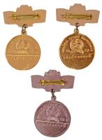 1959. "Belügyi Sport Bajnokság - Középdöntő" részben festett, aranyozott és színezett Al j...