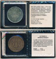 Csíkszentmihályi Róbert (1940-2021) 1989. "1956-1989 Vértanúink emlékére" MDF alpakka emlé...