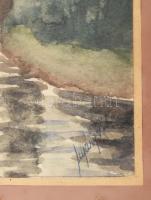 Nyáregyházi báró Nyáry Pál (?-?): Vízparti fák. Akvarell, papír. Jelezve jobbra lent. Üveg mögött. 2...