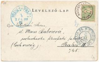 Budapest XIII. Margitszigeti vízesés (EK)