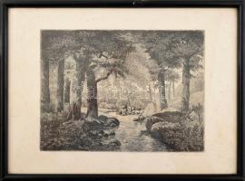 Pásztor jelzéssel: Erdő mélye. Rézkarc, papír, Üvegezett keretben 18x24 cm