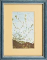 1906 Görgei Artúr (1818-1916) honvédtábornok és Gyulai Pál (1826-1909) irodalomtörténész, költő, író...