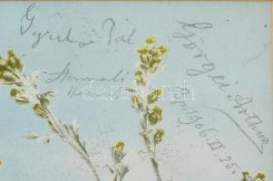 1906 Görgei Artúr (1818-1916) honvédtábornok és Gyulai Pál (1826-1909) irodalomtörténész, költő, író...