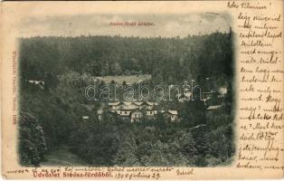 1900 Stószfürdő, Stoósz-fürdő, Kúpele Stós; Látkép. Wlaszlovits Gusztáv kiadása 1068. / general view, villas, spa (EK)