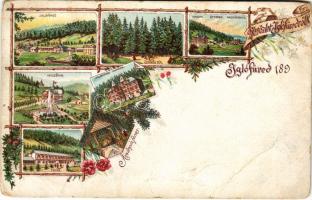 Iglófüred, Spisská Nová Ves Kupele, Novovesské Kúpele; Üstökös tér, Hungária szálló, Millennium, Tátra szálló, villa, étterem, nagy fürdőház, ásványvíz forrás / square, hotels, villas, restaurant, bathhouse, spring source, spa. Art Nouveau, floral, litho (fa)