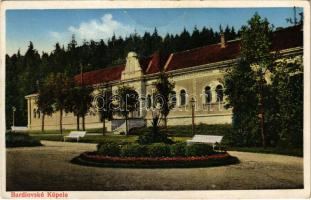 Bártfa, Bártfafürdő, Bardejovské Kúpele, Bardiov, Bardejov; Ásvány és vasláp fürdők. Jun Salamon Neumann kiadása / spa, bath (ázott / wet damage)