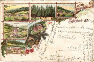 1900 Iglófüred, Spisská Nová Ves Kupele, Novovesské Kúpele; Üstökös tér, Hungária szálló, Millennium, Tátra szálló, villa, étterem, nagy fürdőház, ásványvíz forrás / square, hotels, villas, restaurant, bathhouse, spring source, spa. Art Nouveau, floral, litho (EB)