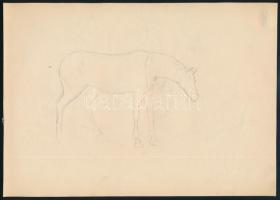 Tóth Gyula (1891-1970), 3 db mű: Lovas és katonai témájú rajzok. Ceruza, papír, jelzés nélkül, egy t...