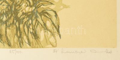 Lunczer Anikó (1942-): Szellőrózsák. Színes linómetszet, papír, jelzett, művészpéldány E.A. jelzésse...