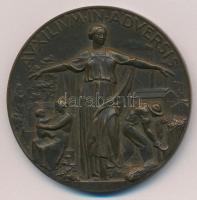 Olaszország / Trieszt 1938. "Auxilium in adversis / Riunione Adriatica di Sicurta Trieste" bronz emlékérem. Szign.: MISTRUZZI, S.A.PAGANI (57mm) T:XF  Italy / Triest 1938. "Auxilium in adversis / Riunione Adriatica di Sicurta Trieste" bronze medallion. Sign.: MISTRUZZI, S.A.PAGANI (57mm) C:XF