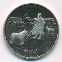 2022. 2000Ft Cu-Ni-Zn "Mudi" kapszulában T:P