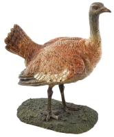 Franz Xaver Bergmann (1861-1936): Túzok. Hidegen festett bronz, 1900 körül, jelzett, m: 18,5 cm / Franz Xaver Bergmann (1861-1936) - Bustards  This cold-painted bronze sculpture, crafted by Franz Xaver Bergmann around 1900 Vienna / Wiener bronze,