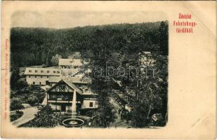 Feketehegyfürdő, Feketehegy, Cernohorské kúpele (Merény, Vondrisel, Nálepkovo); Matz Gusztáv kiadása (fa)