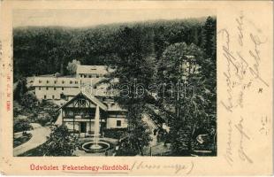 1902 Feketehegyfürdő, Feketehegy, Cernohorské kúpele (Merény, Vondrisel, Nálepkovo); W. G. 1300.