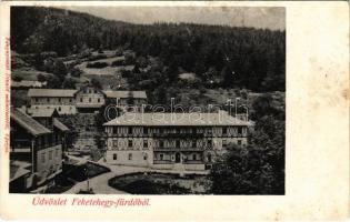 Feketehegyfürdő, Feketehegy, Cernohorské kúpele (Merény, Vondrisel, Nálepkovo); Fénynyomat Divald műintézetéből (felületi sérülés / surface damage)