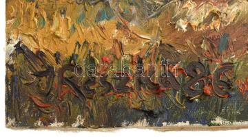 Janusz Rezska (1952-): Vízparti táj. Olaj, vászon, jelezve balra lent, 50x61 cm