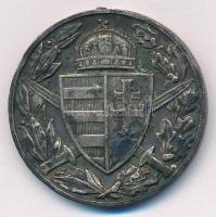 1929. "Magyar Háborús Emlékérem kardokkal, sisakkal" ezüstözött, peremén jelzett bronz kit...