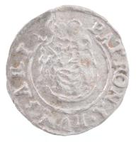 1626K-B Denár Ag "II. Ferdinánd" (0,50g) tokban T:XF
Hungary 1626K-B Denar Ag "Ferdi...