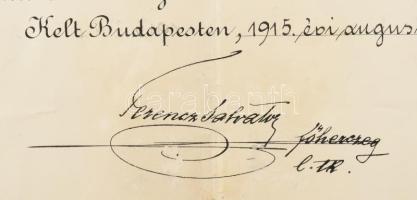 1915 A "Vörös Kereszt II. osztályú Díszjelvénye hadiékítménnyel" kitüntetés, Budapest, 191...