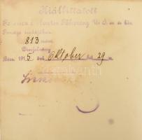 1915 A "Vörös Kereszt II. osztályú Díszjelvénye hadiékítménnyel" kitüntetés, Budapest, 191...