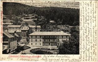 1905 Feketehegyfürdő, Feketehegy, Cernohorské kúpele (Merény, Vondrisel, Nálepkovo); Fénynyomat Divald műintézetéből