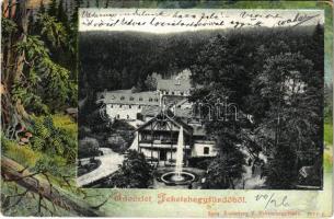 1905 Feketehegyfürdő, Feketehegy, Cernohorské kúpele (Merény, Vondrisel, Nálepkovo); nyaralók. Lomniczy V. 8904. Szecessziós erdős keret / villas. Art Nouveau, forest (kopott sarkak / worn corners)