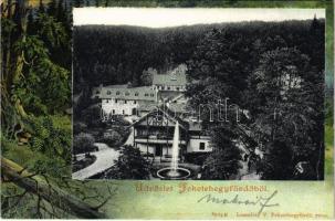 1904 Feketehegyfürdő, Feketehegy, Cernohorské kúpele (Merény, Vondrisel, Nálepkovo); nyaralók. Lomniczy V. 8904. Szecessziós erdős keret / villas. Art Nouveau, forest