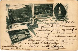 1900 Feketehegyfürdő, Feketehegy, Cernohorské kúpele (Merény, Vondrisel, Nálepkovo); főforrás, zenepavilon, Tompa szobor, Tököly ház / spring, music pavilion, statue, villa. Art Nouveau, floral (fl)