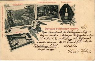 1901 Feketehegyfürdő, Feketehegy, Cernohorské kúpele (Merény, Vondrisel, Nálepkovo); főforrás, zenepavilon, Tompa szobor, Tököly ház. Fénynyomat Divald műintézetéből / spring, music pavilion, statue, villa. Art Nouveau, floral (fl)